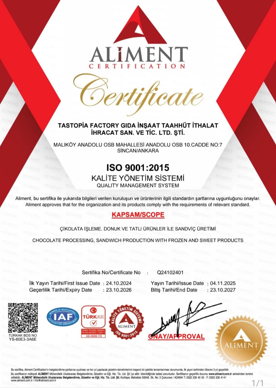 ISO 9001